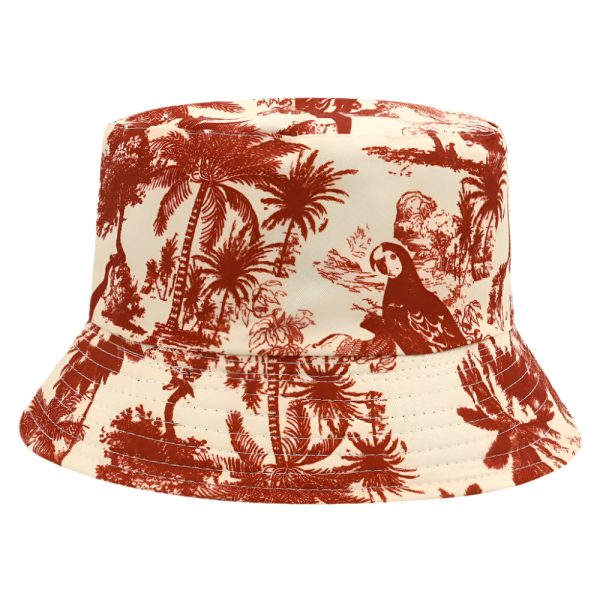 Bob Perroquet tropical